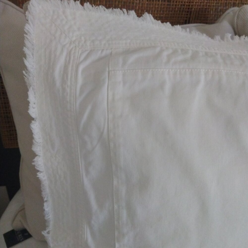 2 Pottery Barn Pillow covers.